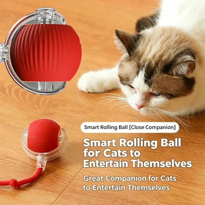 Palla Giocattolo Automatica per Gatti con Corda, Interattiva e Intelligente, per Gioco Autonomo, Palla Saltellante per Alleviare la Noia dei Gatti da Interno, Accessori Durevoli per l'Intrattenimento degli Animali Domestici