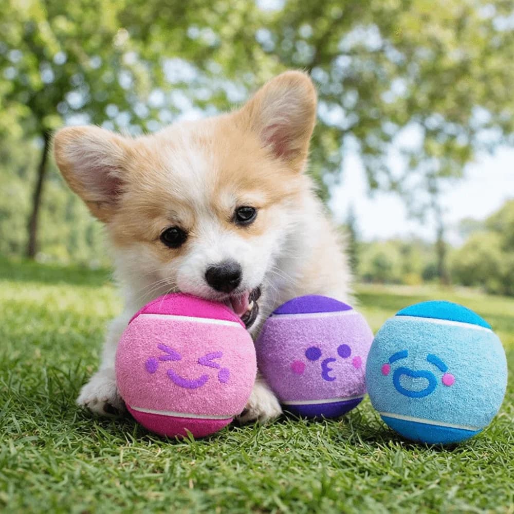 3 Palline Divertenti Elastici per Animali Domestici, Ecologici, Colorati, con Suono Sonoro, in Gomma, per Addestramento Cani e Gioco all'Aperto