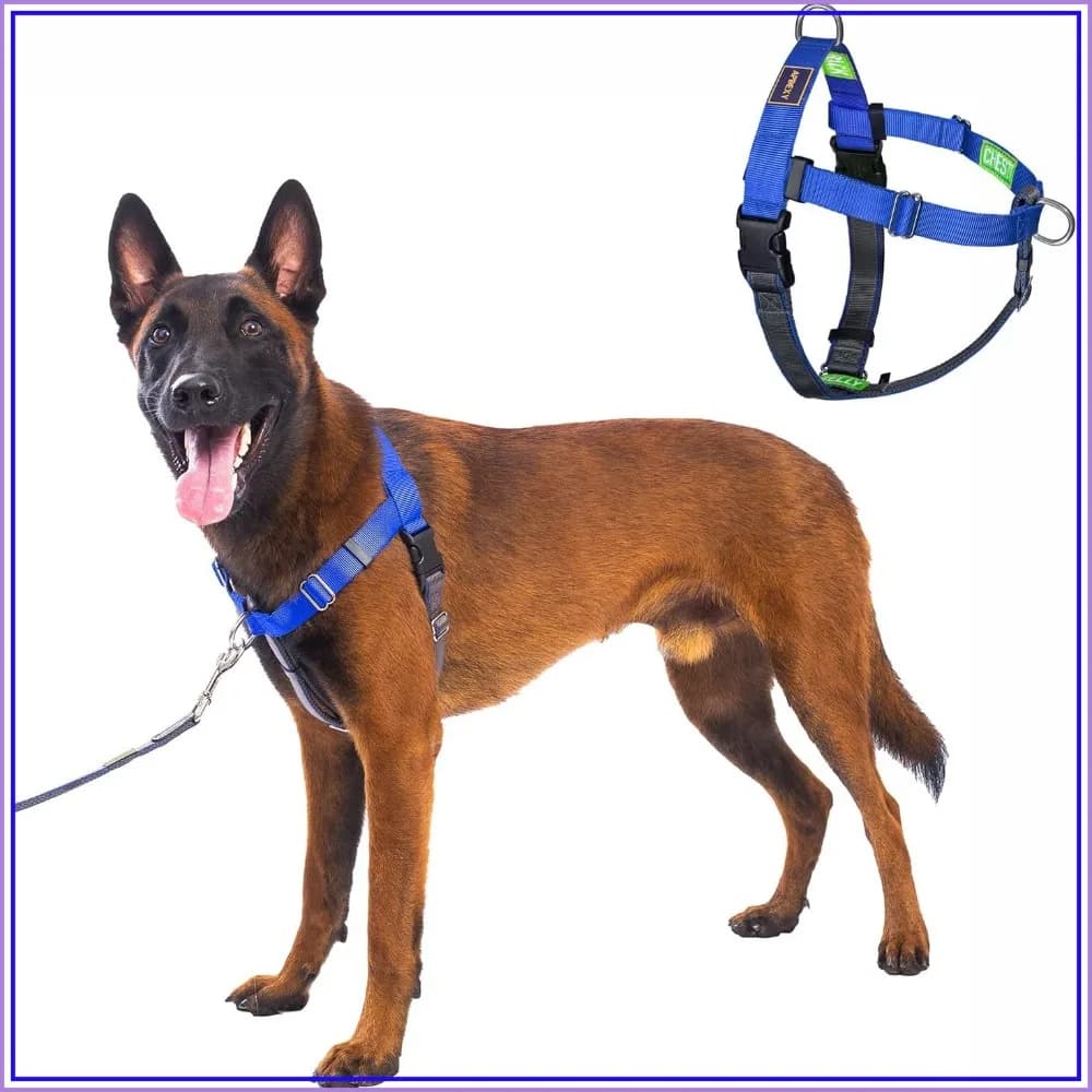No Pull Dog Harness, Easy Walk with Two Stainless D-Rings, Front Clip, Comfortable, for Large Dogs 60-80 lbs, Blue, L