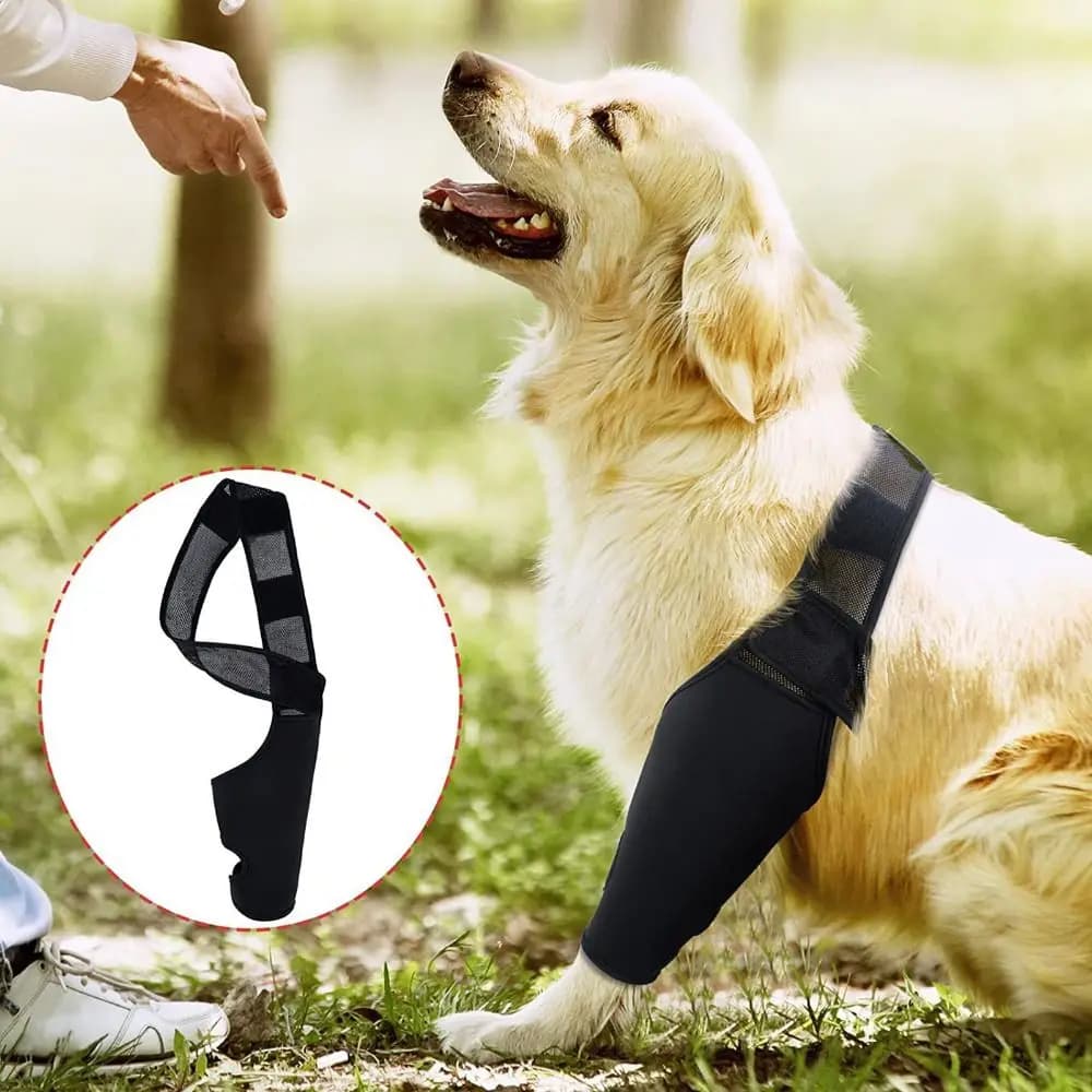 Ginocchiere per animali domestici 3 misure, tutore di supporto per cani e gatti lesioni traspiranti recuperare l'involucro delle gambe riduce il dolore e l'infiammazione protezione per le gambe