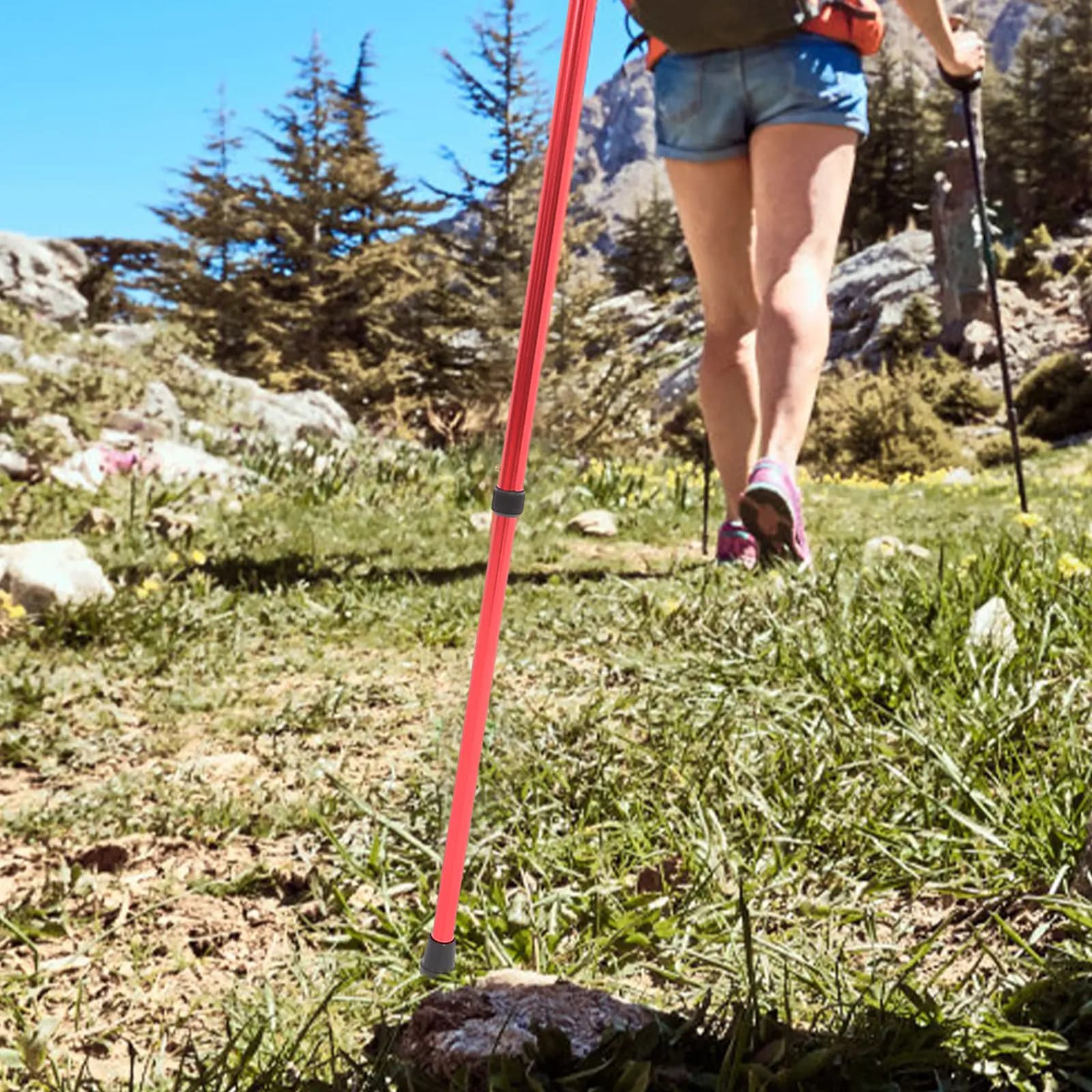 Telescopic Walking Stick for Seniors Aluminum Alloy Plastic Construction Anti-Slip Bottom Comfort Grip Outdoor Trekking Pole
