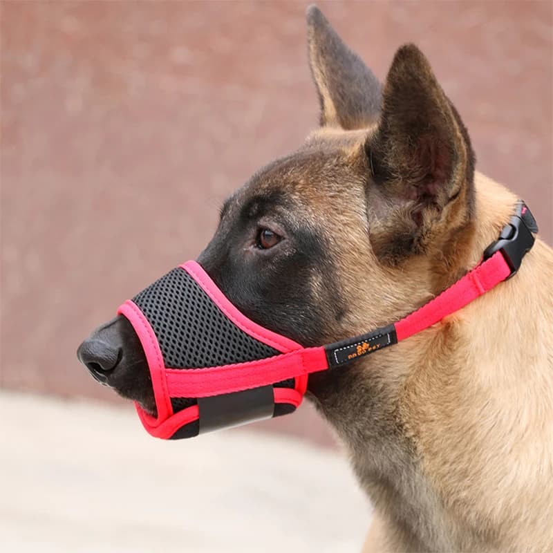 Museruola per Cani Regolabile Anti-Morso Traspirante in Rete Anti-Abbaio Anti-Masticazione Anti-Morso S-XXL