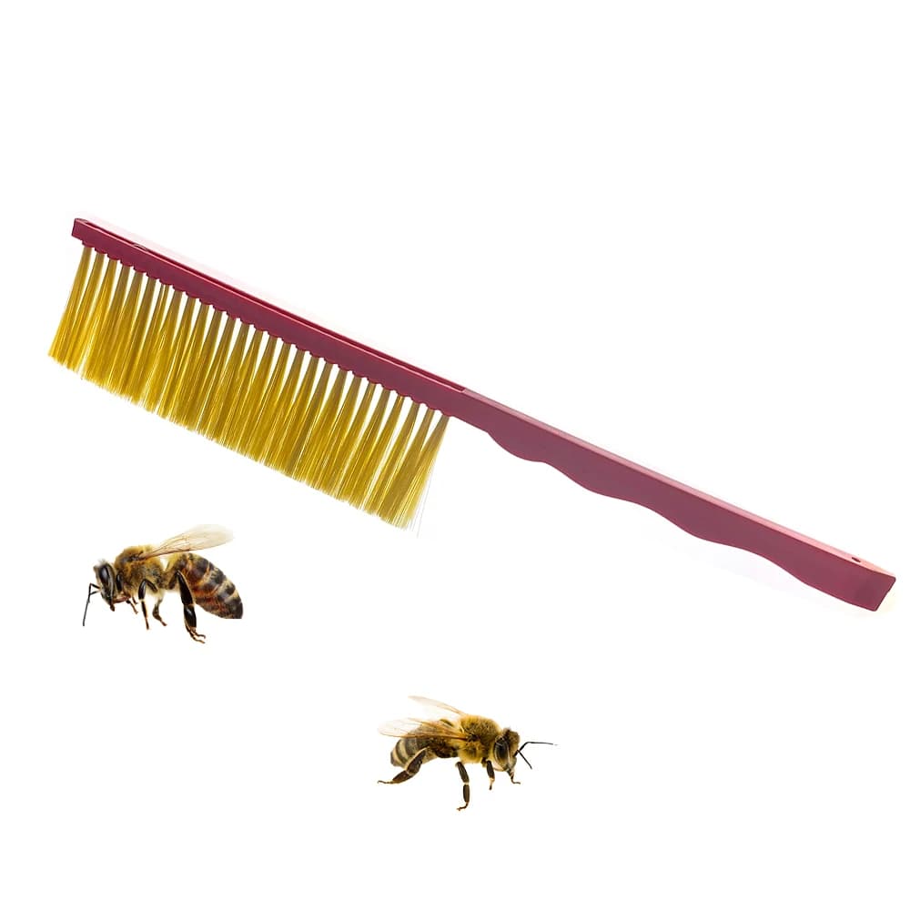 Maniglia in plastica Apicoltore Spazzare scopa Spazzatrice Strumenti di azionamento per il raccogliere forniture di strumenti per api