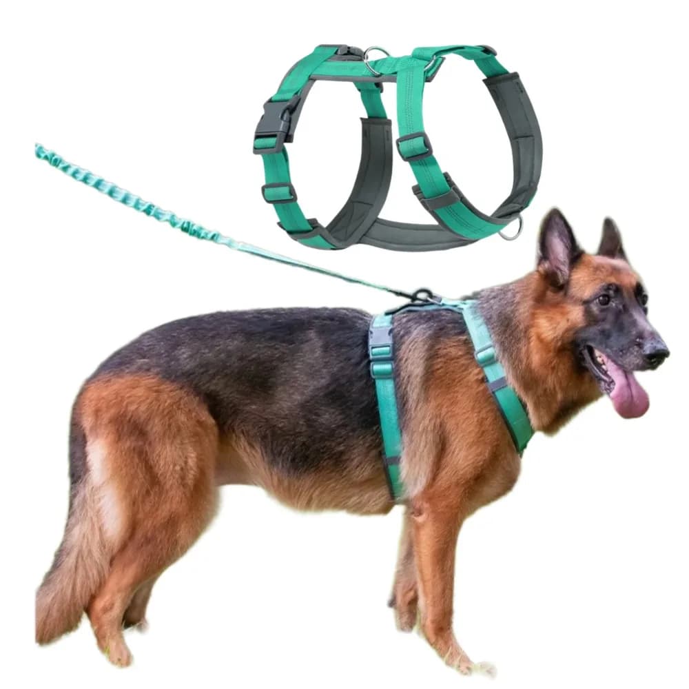 Il miglior imbracatura per cani da passeggio, corda riflettente regolabile, punzone antideflagrante senza tirare, facile da togliere, forniture per animali domestici