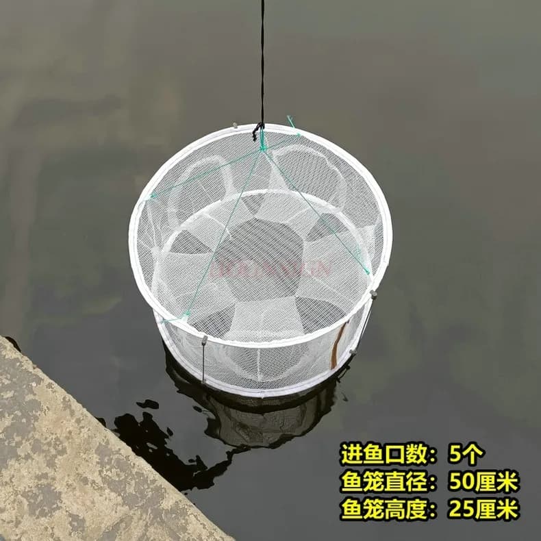 Un nuovo tipo di gabbia da pesca con gabbia a rete, gabbia per anguilla gialla, gabbia per aragosta, gabbia per gamberetti, gabbia per pesci, rete da pesca, attrezzo da pesca