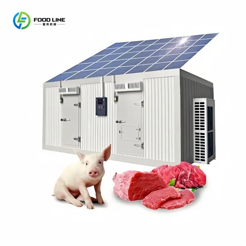 Commercial 20Ft Solar Freezer Container Cold Storage Room System Solar Powered Cooling Unit for Food Warehouse Customized