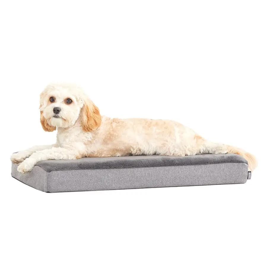 Cuccia Ortopedica per Cani con Memory Foam, Comfort Premium per Cani e Cuccioli, Letti per Cani per Sollievo Articolare e Sonno Riposante, Durevole