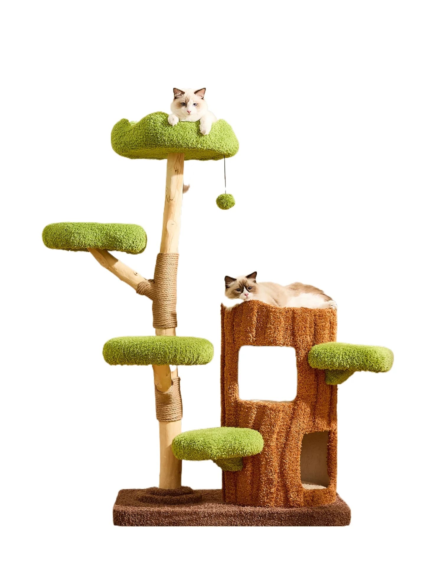 Struttura da arrampicata per gatti Grande piattaforma per saltare sull'albero per gatti Scaffale integrato in legno massello Il nido caldo della villa non occupa