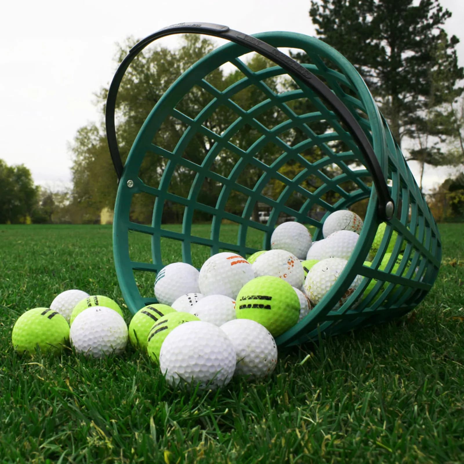 Secchio Portapalline da Golf da 50 Pezzi, Antiruggine, Impilabile, con Manico Pieghevole, Portatile, per Campo Pratica