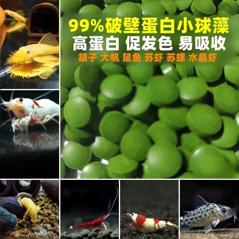 50/100/200/300 pz compresse di spirulina ad alta purezza spirale alghe arricchimento preferito animali cibo pesce cristallo gamberetti rossi cibo per pesci