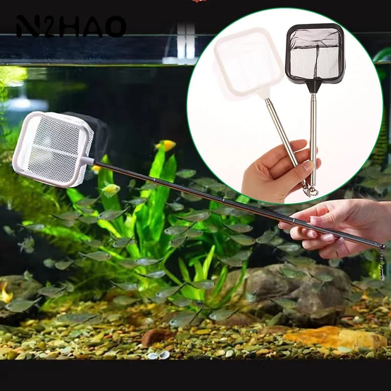 Guadino da pesca Antiruggine Resistente alla corrosione Rete da pesca telescopica portatile in acciaio inossidabile Accessori per acquari per acquari
