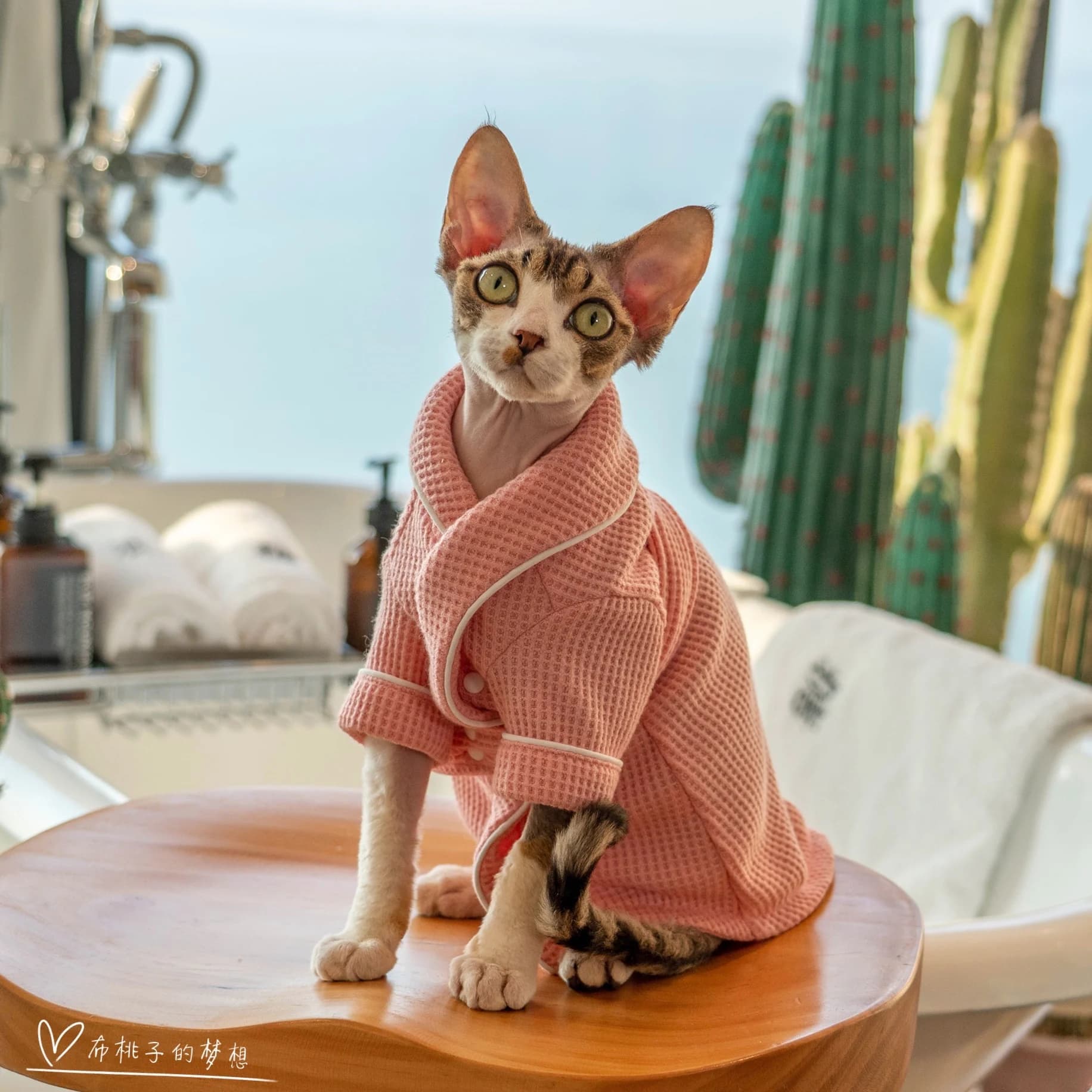 Luxury Cat Pink pigiama Senior tessuto Cat Coat Pet Sweet abbigliamento per sfignx Cat bob Rex Soft Loungewear per gattini