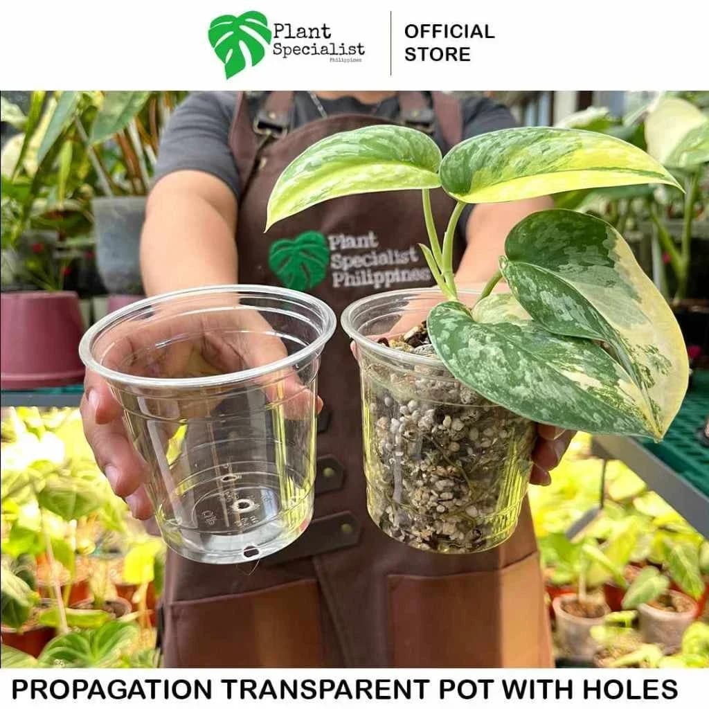 Reinforced Transparent Nursery Pots, Plastic Planters with Drainage Holes, Seed Starter Variety Pack for Flowers Seedlings