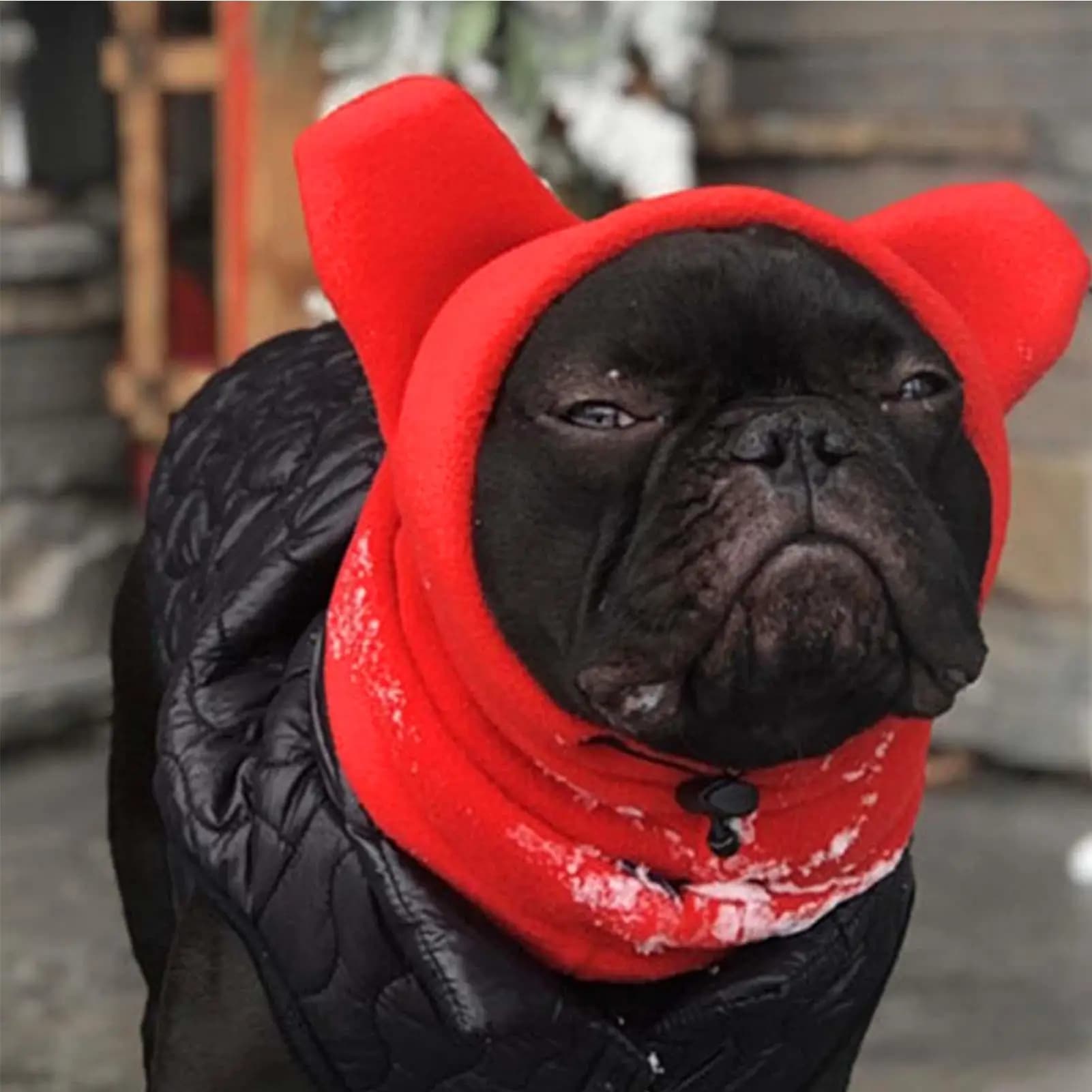 Cappello per Cani Invernale, Berretto Caldo e Traspirante con Paraorecchie per Animali Domestici, Ideale per Clima Freddo, Campeggio, Escursioni, Festival e Vacanze