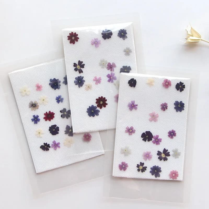 40 pz/lotto, Mini Bellezza Cherry pressato petali di fiori, Genuino Fiore Secco FAI DA TE Goccia Colla cassa del telefono Segnalibro Cornice per Foto decorazione del viso