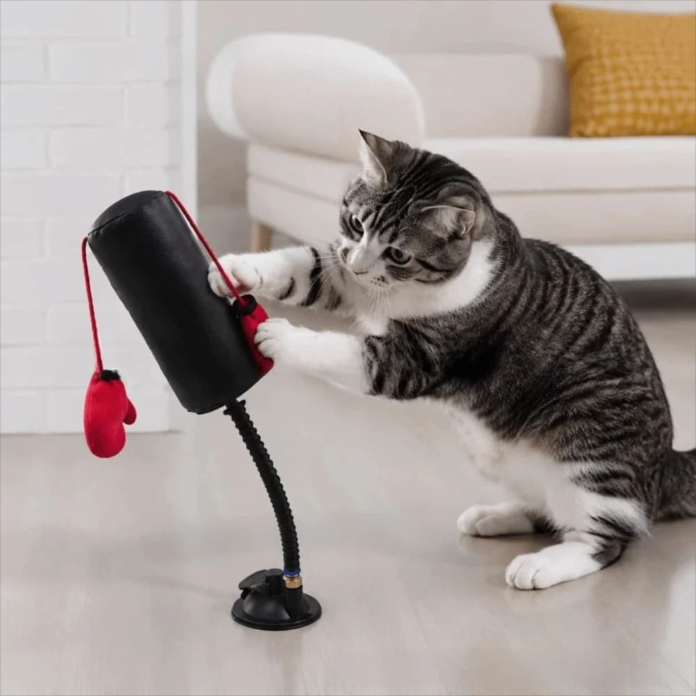 Suction Cup Base Cat Boxing Toy Spring Loaded Scratch Resistant Cat Punching Bag Bite Resistant Paw Punch Design Speed Bag Toy