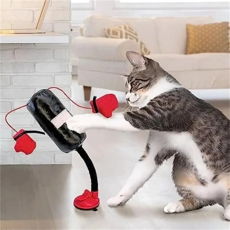 New Toys for Boxing Sack Shape Cats, Boxing Toy for Gattini with Boxing Gloves for Tired Cats, Cat Accessories