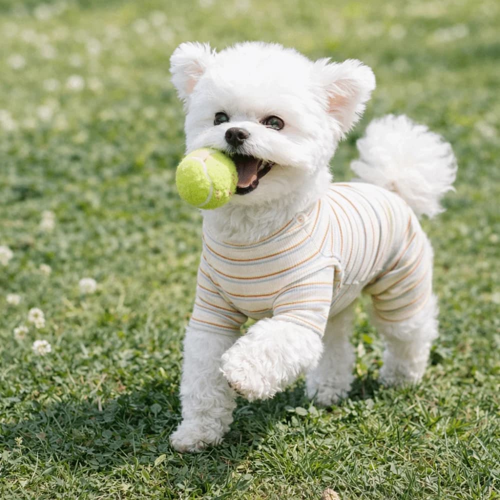 Casual Soft Dog Striped Jumpsuit Four-legged Comfortable Dog Pajamas Warm Pet Belly Cover Daily Wear