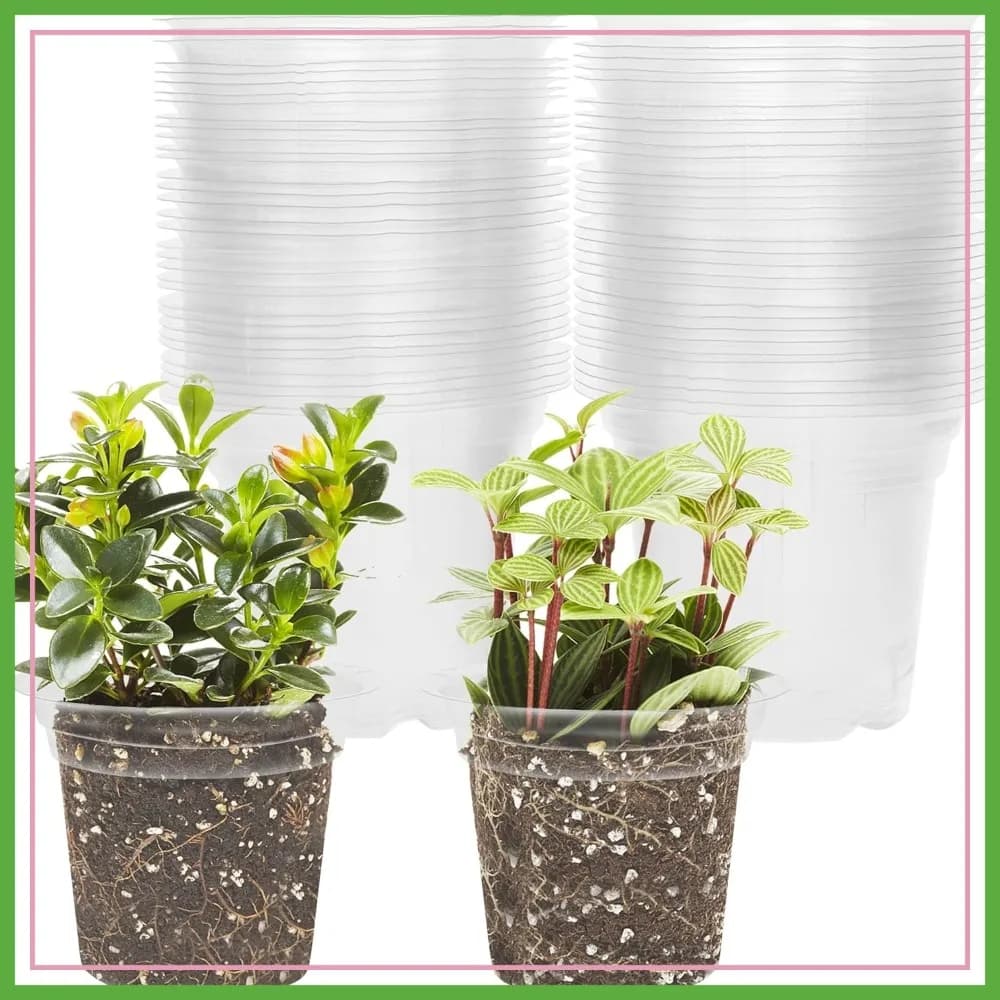 Confezione da 60 Vasi da Semina Trasparenti da 4 Pollici per Verdure, Erbe Aromatiche, Lattuga - Vasi da Vivaio per Piante da Interno, Vasi da Giardino