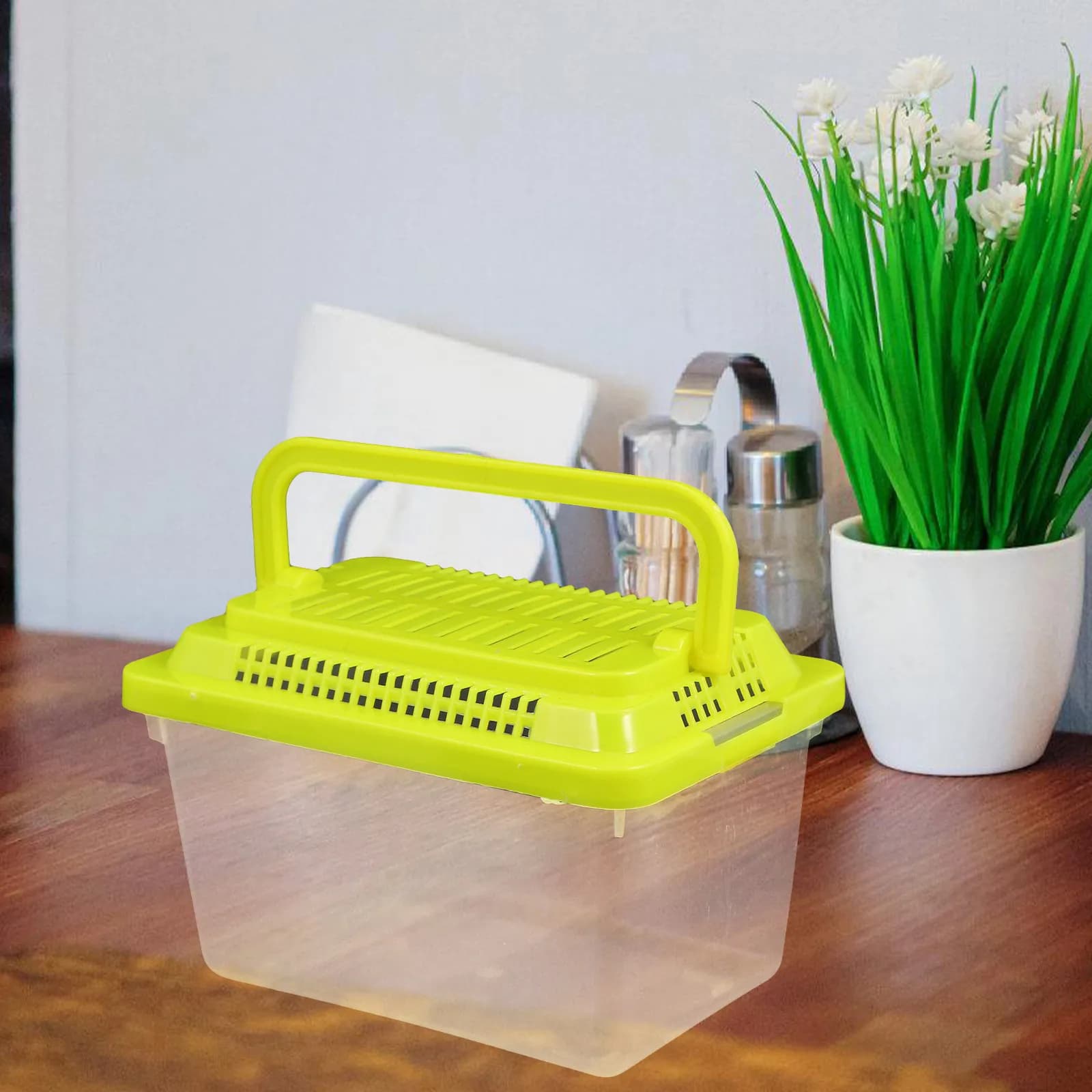 Terrario Portatile Leggero per Tartarughe, Vasca Trasparente in Plastica per Rettili, Habitat per Allevamento e Alimentazione di Pesci Rossi e Tartarughe, Trasportino per Piccoli Animali Domestici
