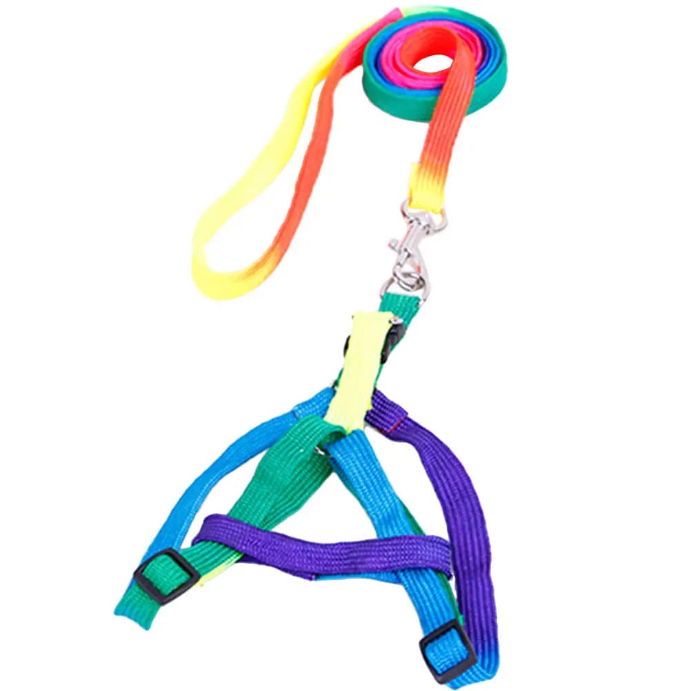 Imbracatura Regolabile in Nylon per Cani e Gatti, Design Arcobaleno, Facile da Indossare e Togliere, Ideale per Feste e Servizi Fotografici, 1.0cm