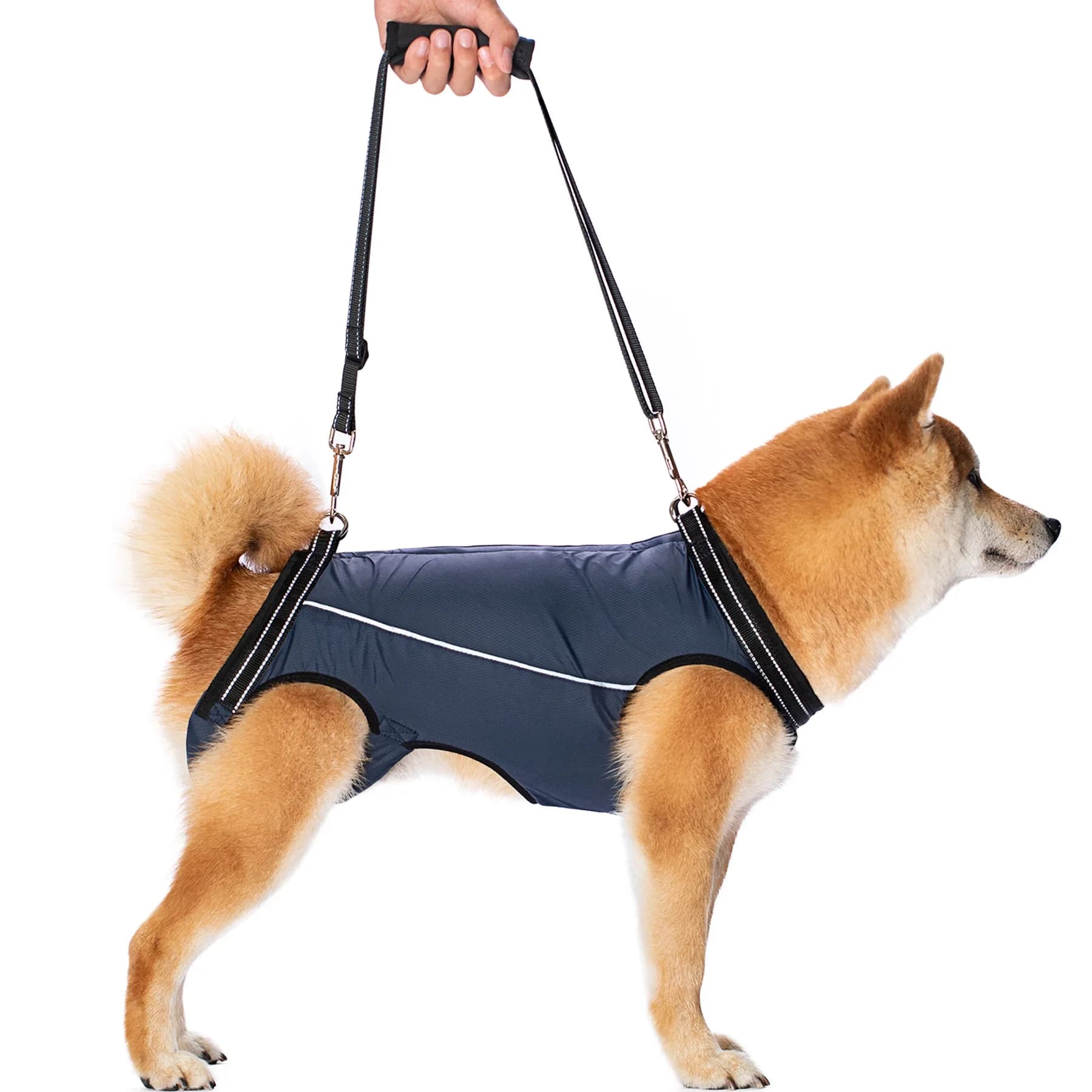 Imbracatura di supporto per cani imbracatura di sollevamento imbracatura di riabilitazione cinghie traspiranti imbottite per vecchie lesioni articolari disabili artrite