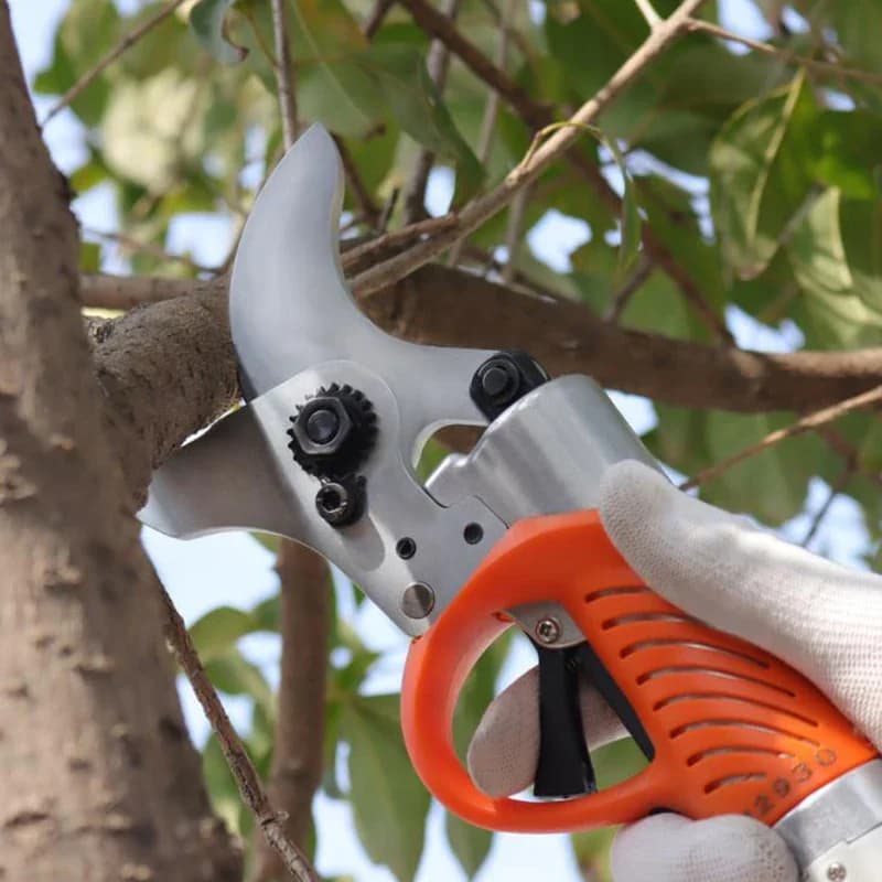 Products Premium Electric Cesols Electric Power Supply for Lithium Battery 36V Electric Shelving Shears For Orchard for Fruit Trees