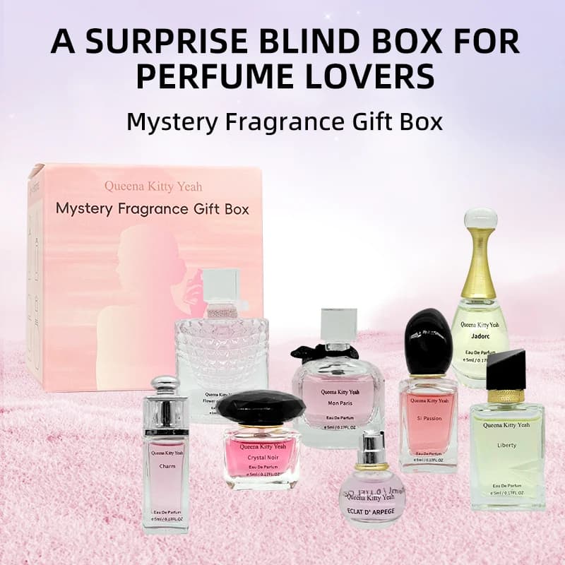 1 Confezione da 4 Deodoranti per Auto Assortiti - Mystery Box di Profumi, Regalo Ideale per il Conducente
