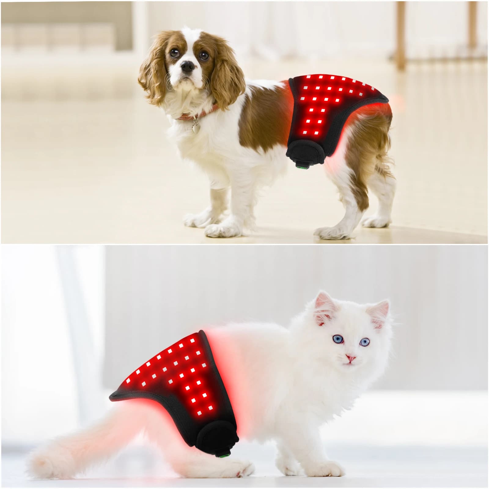 Sunglor 660NM 850NM Palmare LED Wrap Cane Gatto Cura degli animali domestici Cintura per terapia della luce rossa per alleviare il dolore corporeo