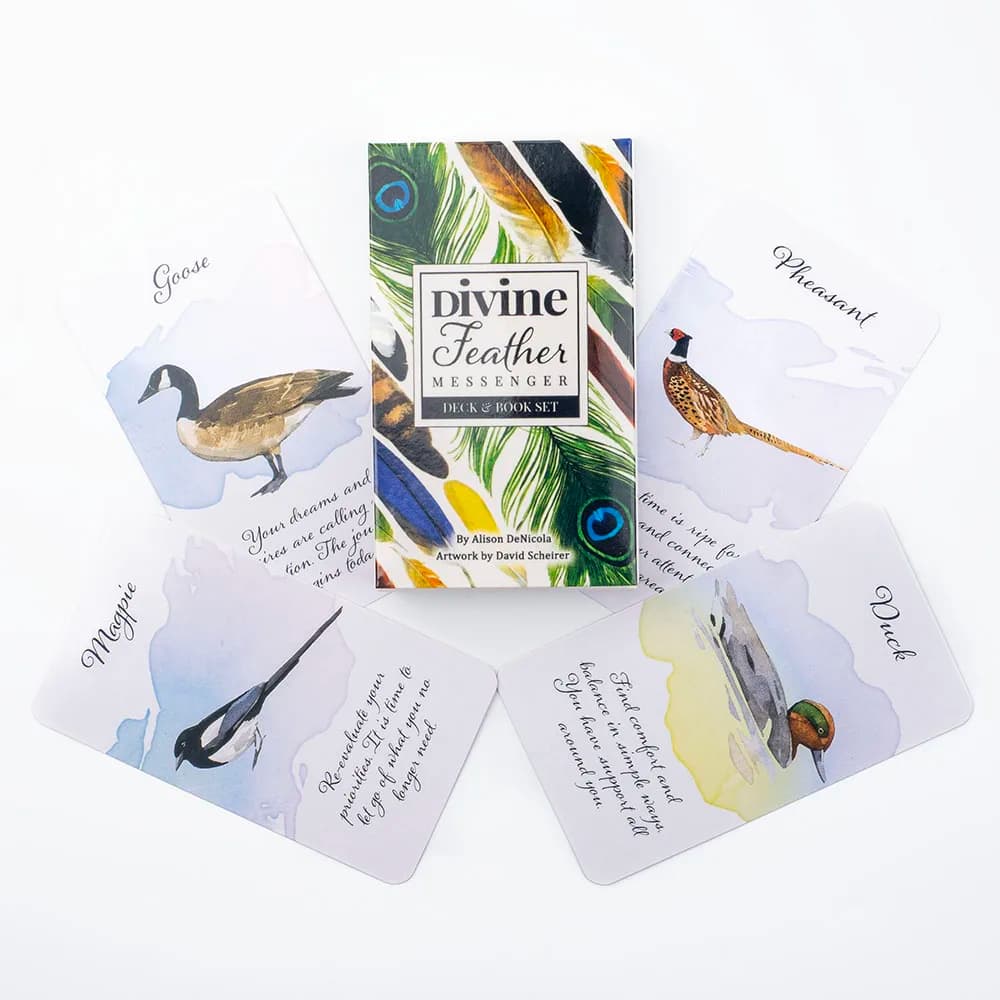 10.3*6cm Divine Feather Messenger 44 Carte Oracolo Edizione Divinazione Visions in Inglese Mazzo di Carte da Gioco con Guida PDF