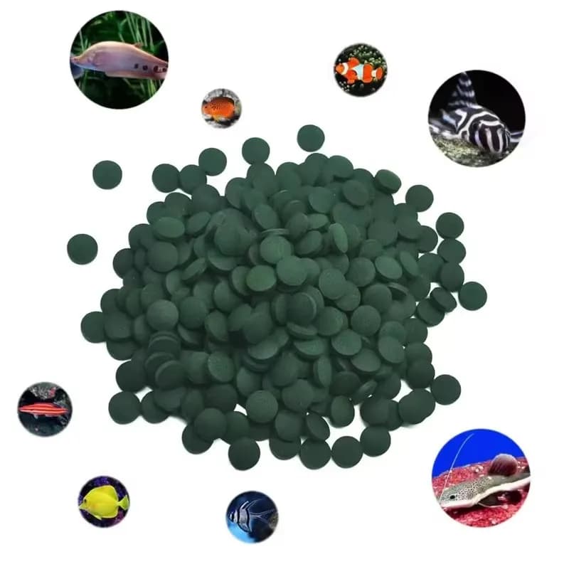 50-350pcs High Purity Spirulina Tablets Spiral Seaweed Enrichment Favorite Pets Food Fish Crystal Red Shrimp Fish Food Aquarium