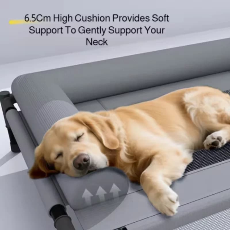 Nuovo Lettino Refrigerante per Cani con Cuscino, Rete Traspirante, Lavabile, Arredo per Animali Domestici per Esterni, Interni, Campeggio, Patio, Prendisole