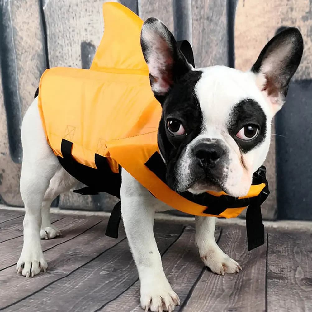 Giubbotto Salvagente per Cuccioli con Fibbia a Sgancio Rapido e Riflettenti, Giacca Galleggiante per Cani per Nautica e Nuoto