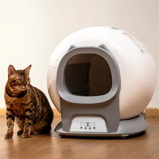 Toilette elettrica per gatti autopulente intelligente Sabbiera automatica Lettiera per gatti intelligente