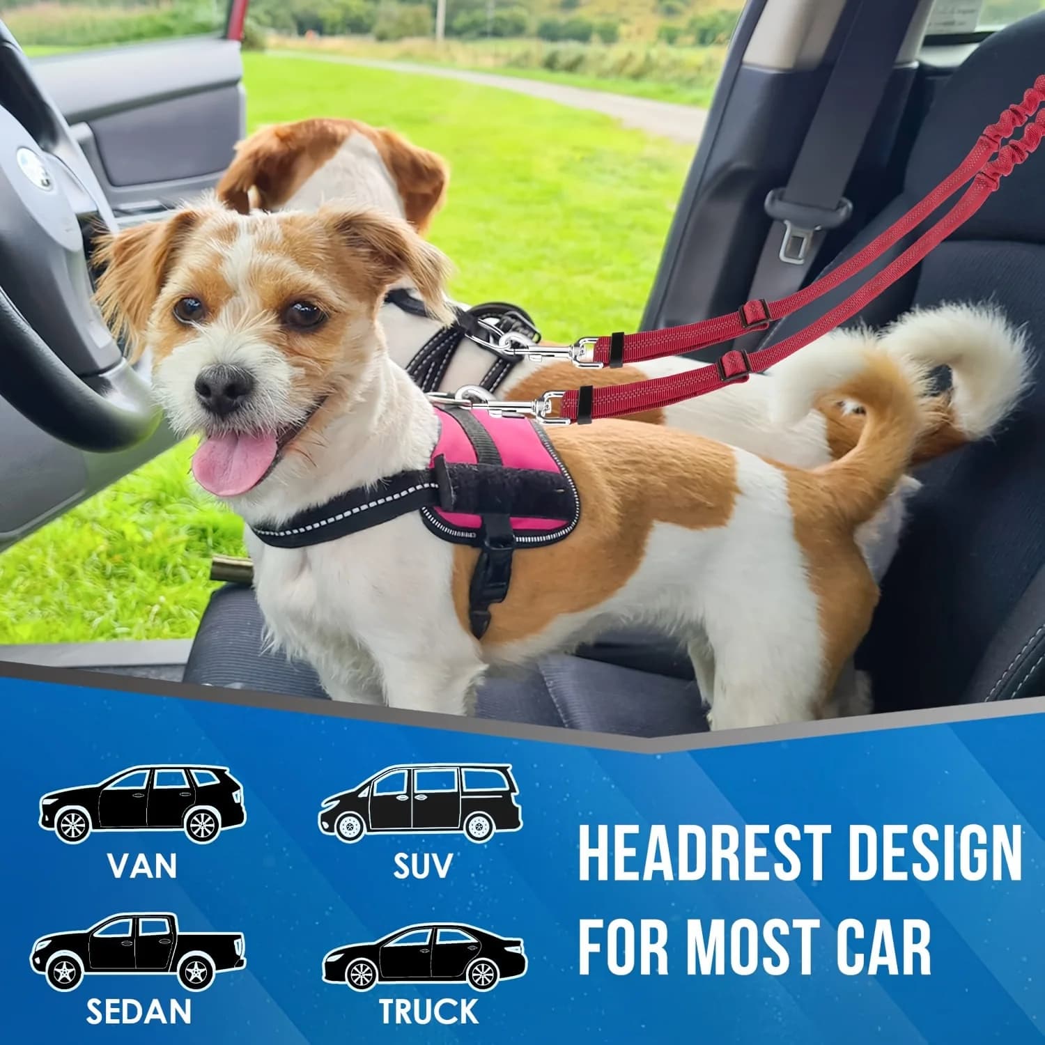 Cintura di Sicurezza per Cani da Auto, Accessorio Auto con Cuscinetto Antiscivolo, Corda di Sicurezza per Auto, Guinzaglio per Cani a Doppio Uso