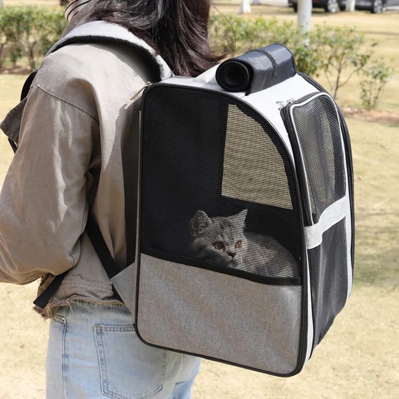 Patent Design Large Capacity Cat Backpack Carrier Portable Pet Travel Bag Breathable Mesh Dog Puppy Shoulder Rucksack Supplies