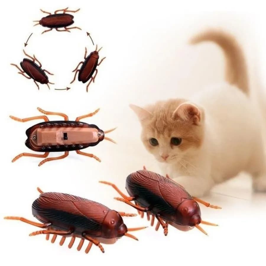 Simulazione divertente di scarafaggi Pet Cat Dog Kitten Giocattolo interattivo per addestramento
