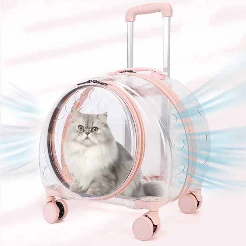 Valigia trolley portatile trasparente da viaggio per animali domestici per gatti con fori di ventilazione Maniglia regolabile Ampia apertura per gatti