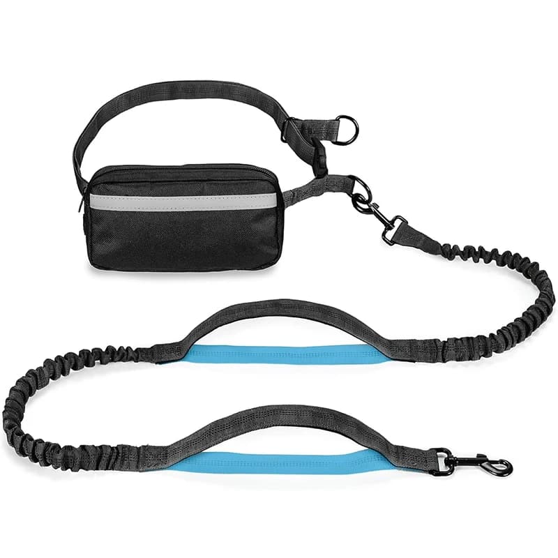 Multifunctional Pet Running Waist Pack Reflective Dog Leash Elastic Bungee Rope Hands Free Walking Belt for Small Medium Dogs
