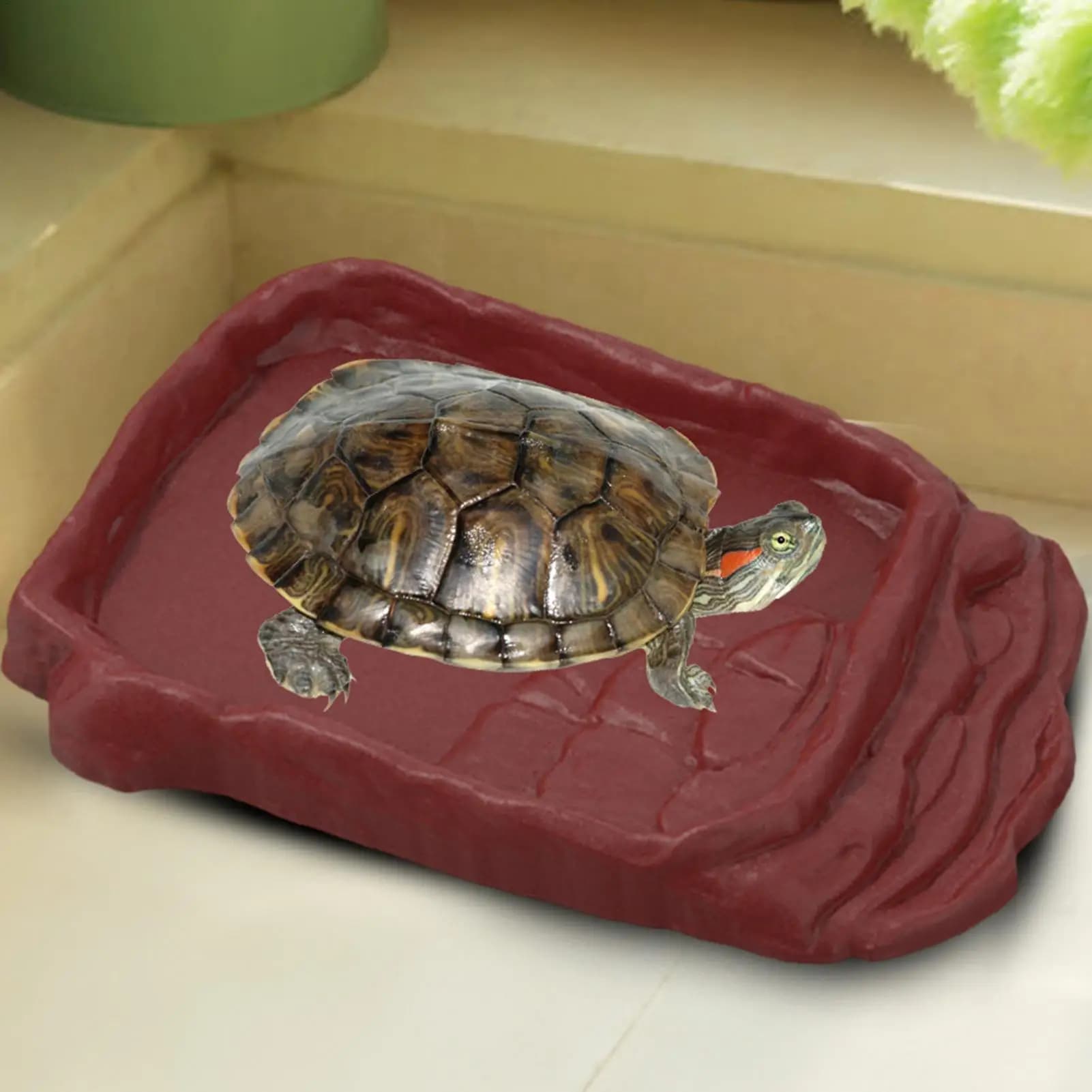 Piatto d'acqua per tartarughe con scale di roccia imitazione antiscivolo Ciotola per acqua alimentare per lucertole di drago barbuto Gecko Forniture per piccoli animali domestici