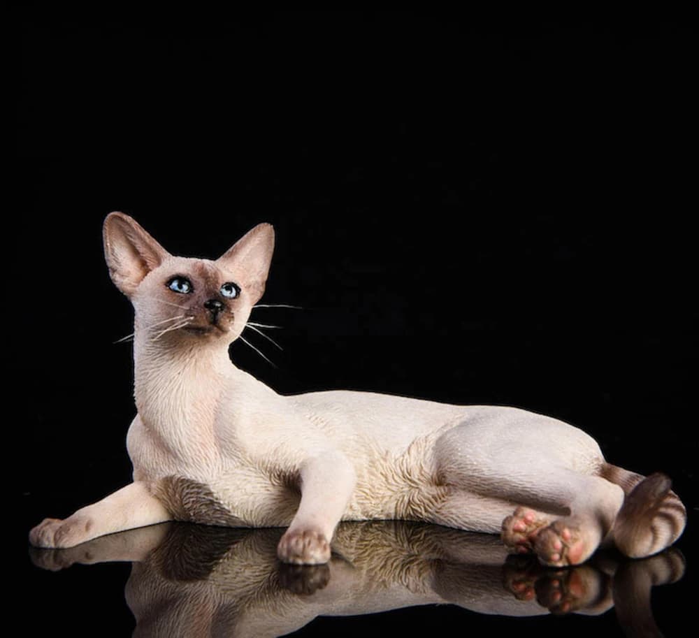 Simpatico gatto siamese 3D Stampo in silicone per resina Fai da te fatto a mano Souvenir per animali domestici Decorazioni per artigianato Stampo in argilla epossidica per gattino