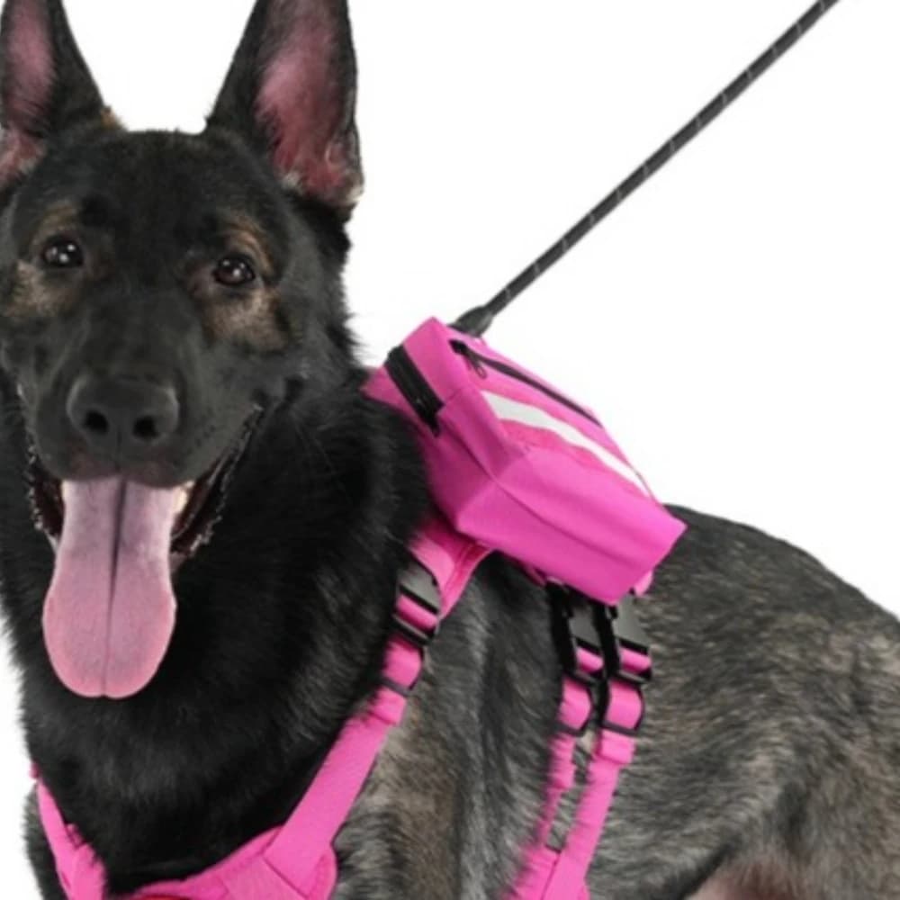 No-Pull Dog Harness with Tactical Backpack | Anti-Burst Multi-Functional Pet Vest Leash | Heavy Duty Chest Strap for Large Dogs