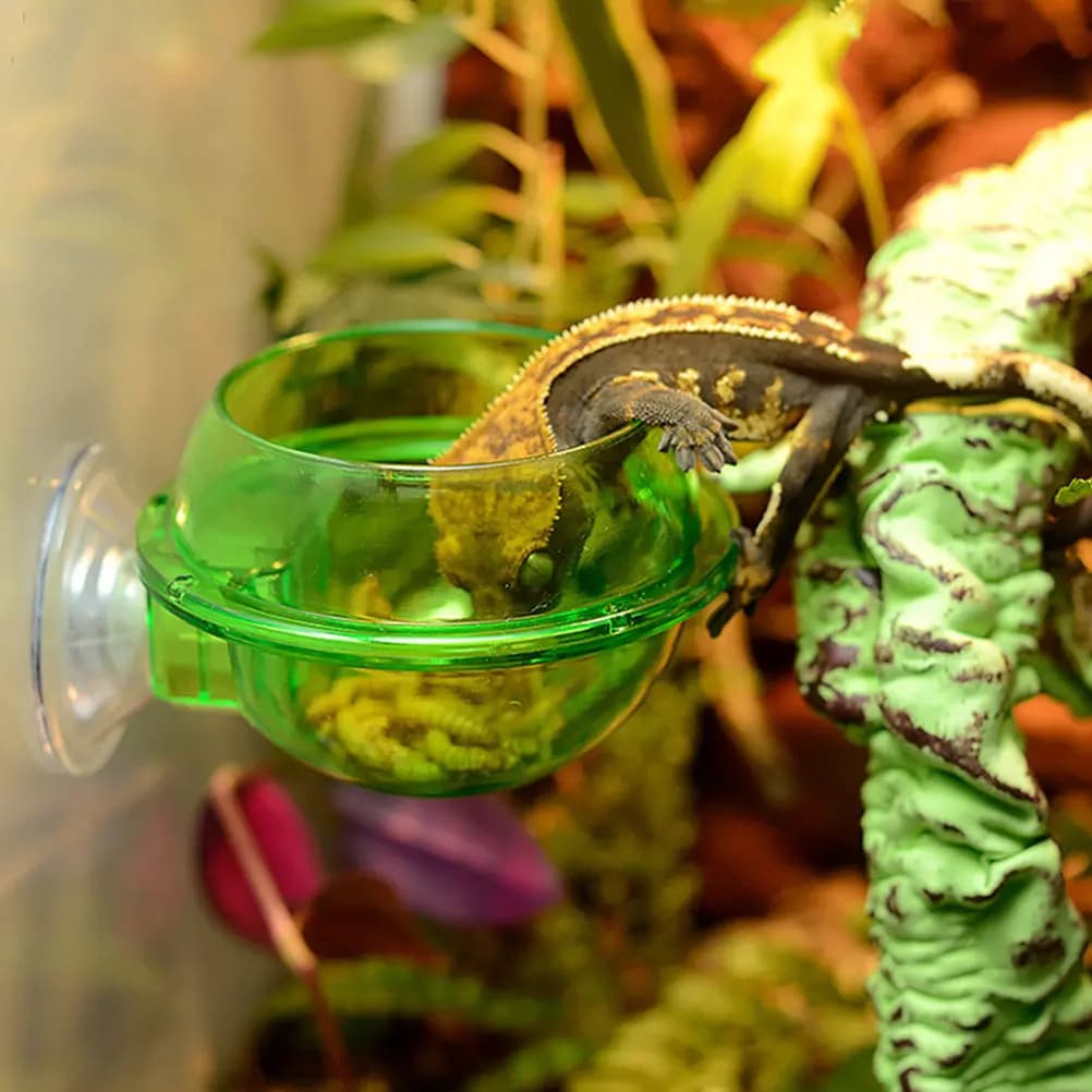 Set di 4 Ciotole per Rettili con Ventosa Anti-Fuga, Contenitori per Acqua e Cibo per Lucertole, Gechi, Tartarughe, Iguane, Alimentatori per Gabbie di Animali Domestici