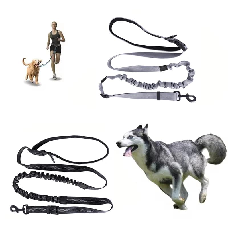 Guinzaglio per cani a mani libere per passeggiate, corsa e jogging, guinzaglio regolabile con cintura in vita e cinghia pettorale, corda di trazione, accessori per cani