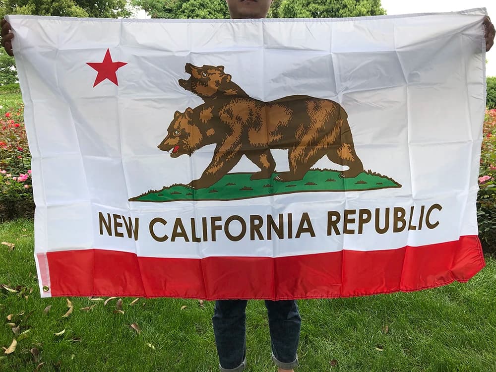 SKY FLAG Nuova bandiera della California 90X150 cm in poliestere stampato su entrambi i lati appesa Nuova bandiera della Repubblica della California per la decorazione