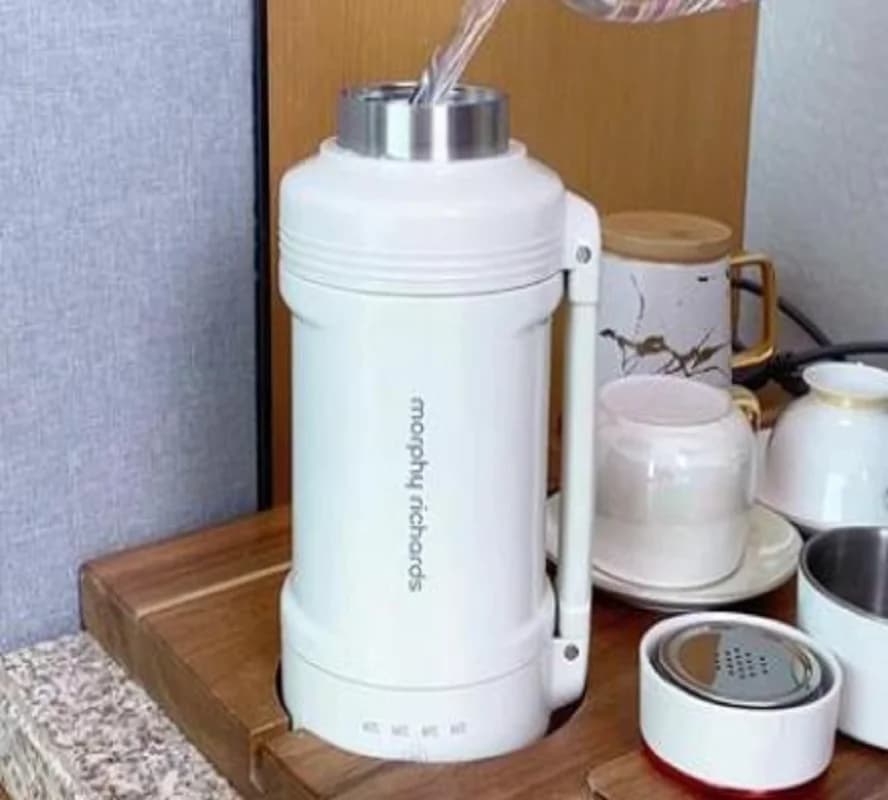 110 V/220 V portable electric kettle with temperature control for travel and FC office