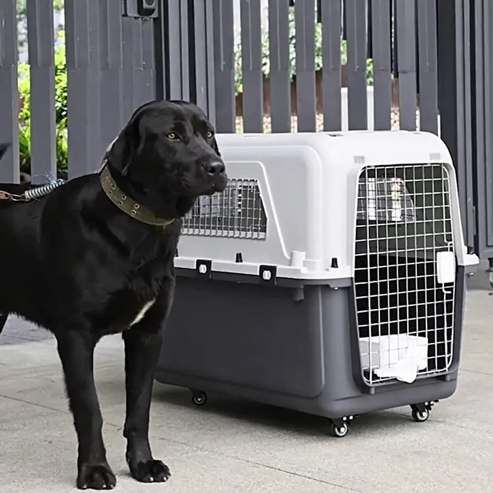Trasportino per Animali Domestici Resistente per Viaggi Aerei, Lunghezza 33 pollici/Larghezza 21,6 pollici/Altezza 25,2 pollici con Maniglia e Porta in Metallo
