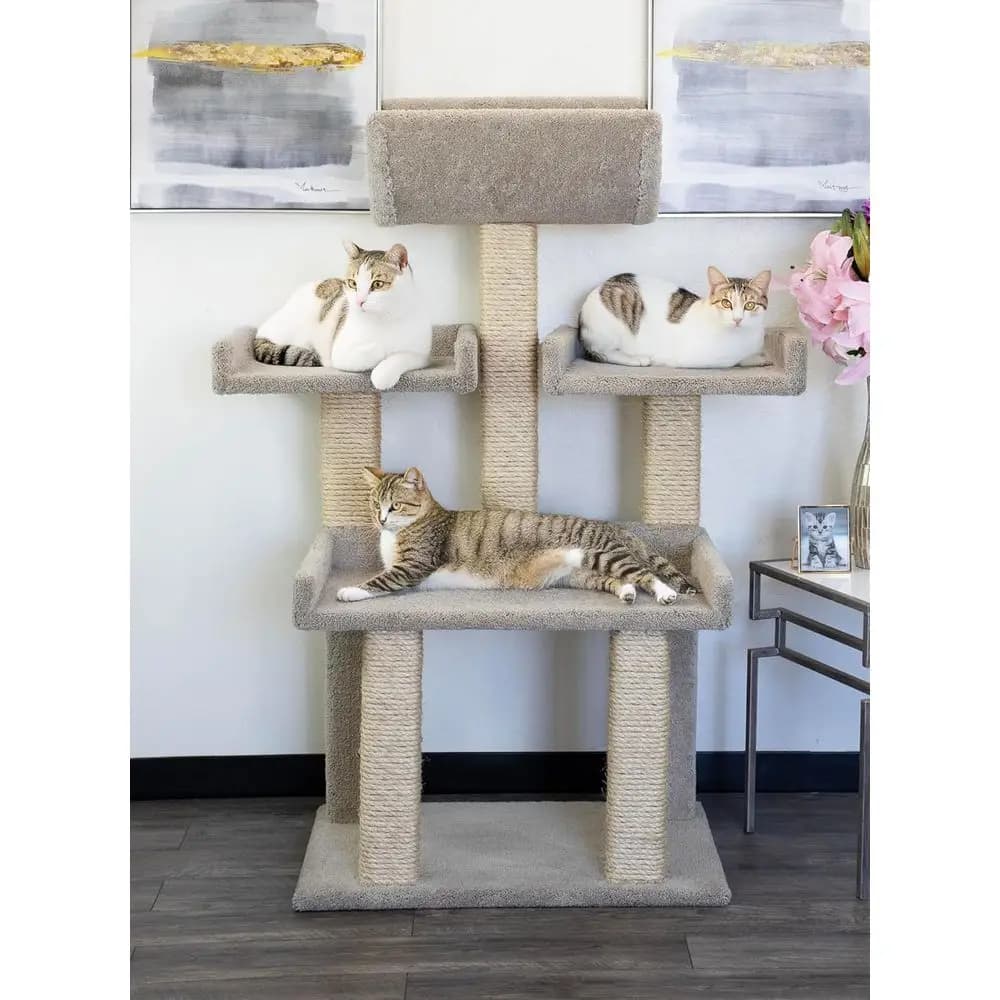 Torre per Gatti di Lusso XL per Grandi Compagni Felini
