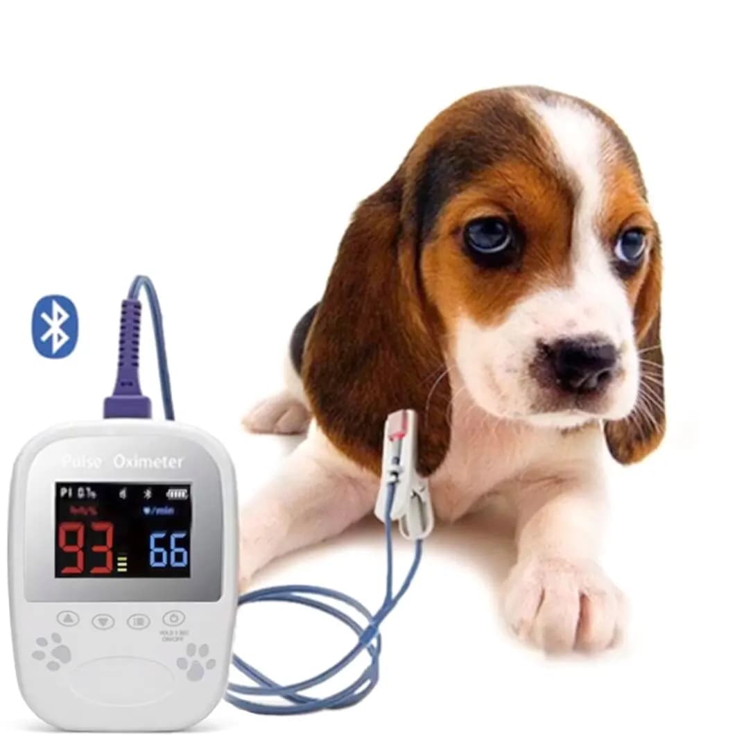 Highest Cost-effective WT50D Animal Health Veterinary Handheld Pulse Oximeter