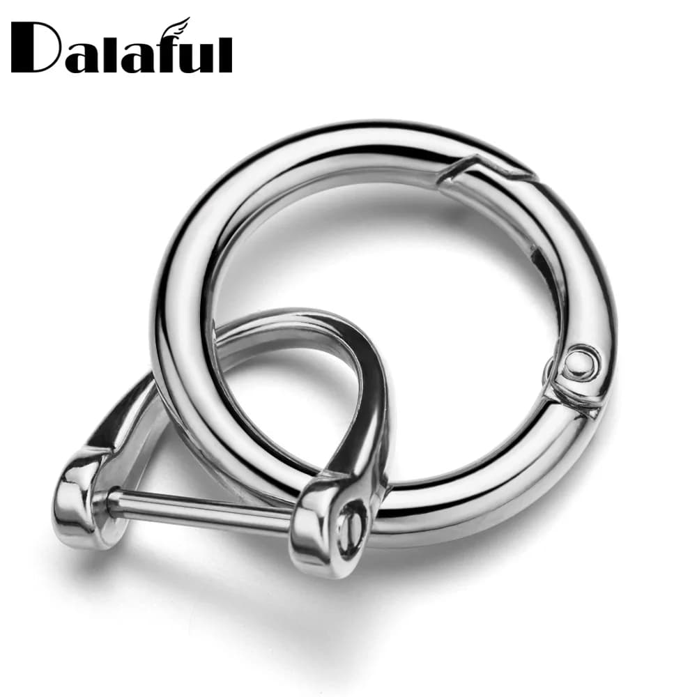 Portachiavi con anello a molla in metallo portachiavi per portachiavi per auto borsa apribile cinturino per cintura fibbia catena per cani forma a D portachiavi a ferro di cavallo ZH01